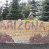 arizonalogo