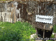 Bunkier dowodzenia Wojsk Lądowych Wehrmachtu w Mamerkach.