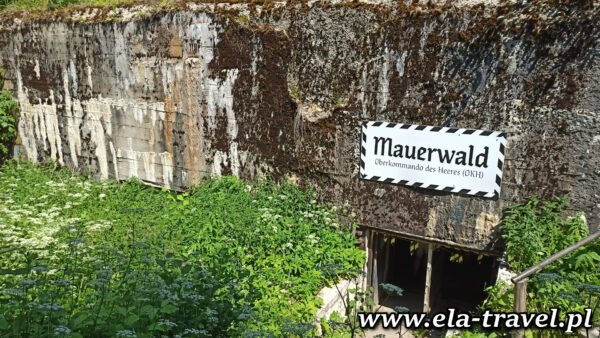 Bunkier dowodzenia Wojsk Lądowych Wehrmachtu w Mamerkach.
