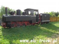 Parowóz Las Wigierska Kolej Wąskotorowa w Płocicznie