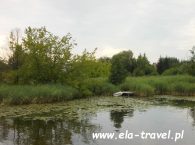 dziki brzeg rzeka Netta Augustów