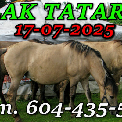 Tatarska Jurta. Podlasie. Wycieczka Szlakiem Tatarskim Podlasia 17-07-2025.