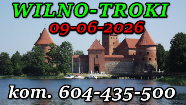 Zamek w Trokach – zamek położony na jeziorze Galwe na Litwie