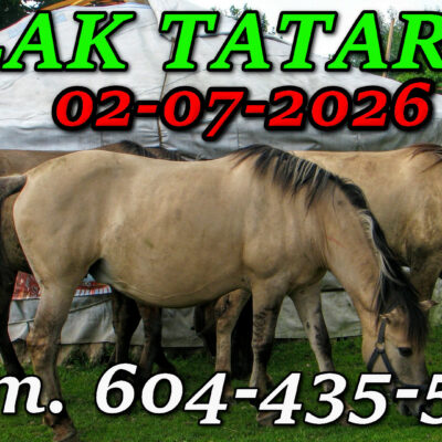 Tatarska Jurta. Podlasie. Wycieczka Szlakiem Tatarskim Podlasia 02-07-2026.