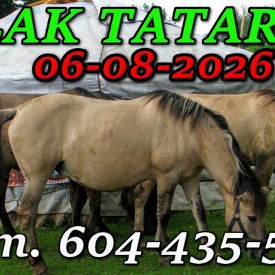 Tatarska Jurta. Podlasie. Wycieczka Szlakiem Tatarskim Podlasia 06-08-2026.