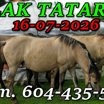 Tatarska Jurta. Podlasie. Wycieczka Szlakiem Tatarskim Podlasia 16-07-2026.