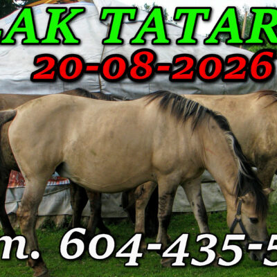 Tatarska Jurta. Podlasie. Wycieczka Szlakiem Tatarskim Podlasia 20-08-2026.