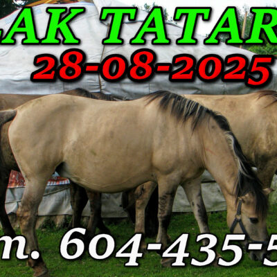 Tatarska Jurta. Podlasie. Wycieczka Szlakiem Tatarskim Podlasia 28-08-2025.